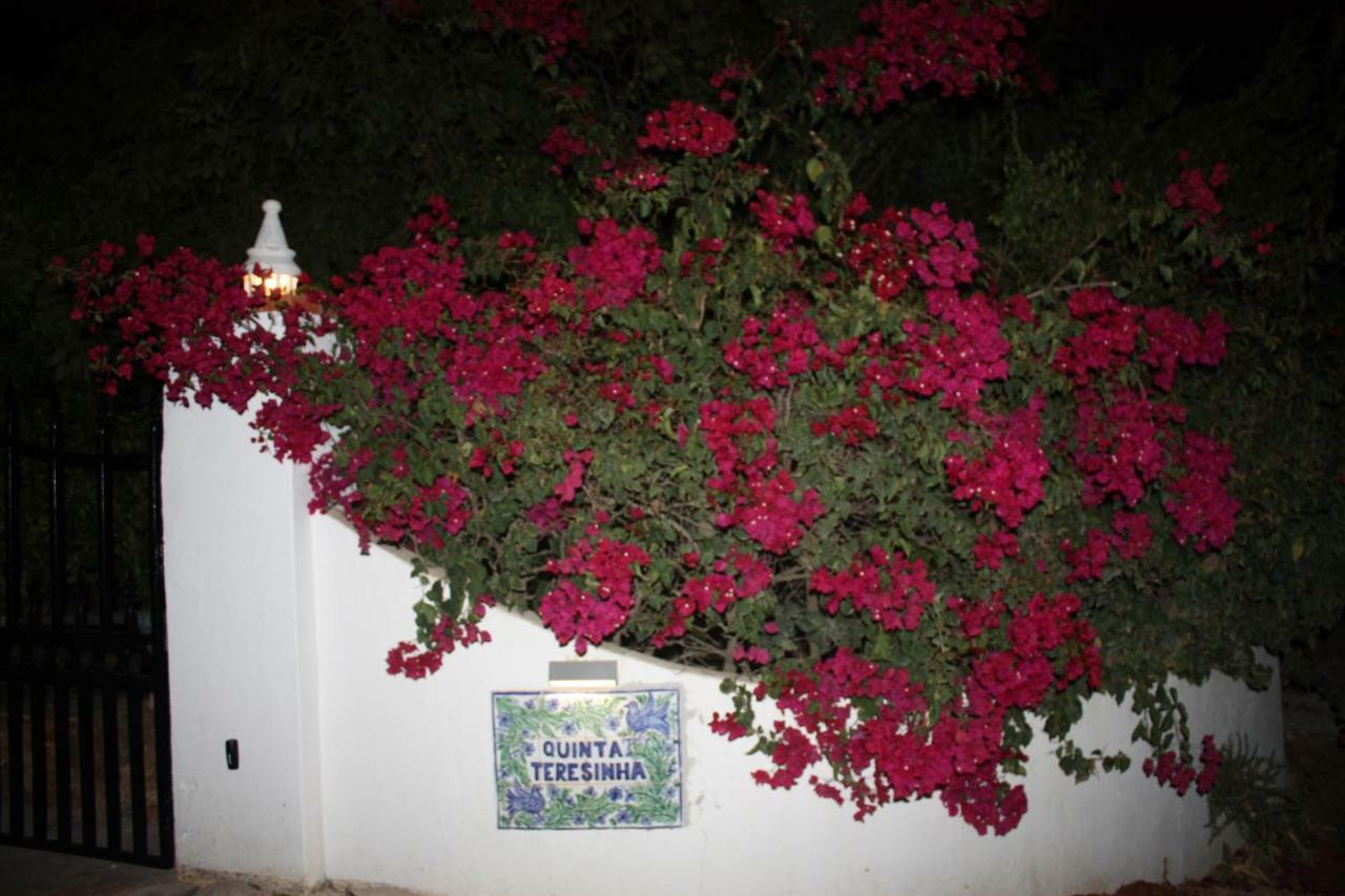 Quinta Teresinha Guest House Silves Exterior photo